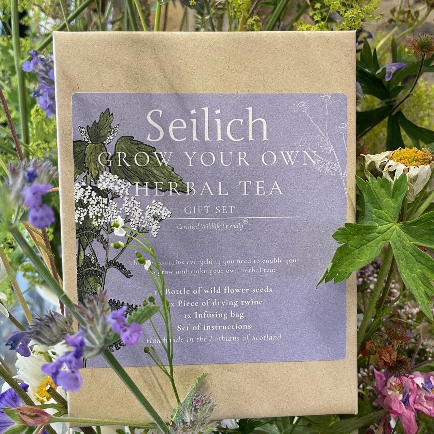 Grow Your Own Herbal Tea Gift Set