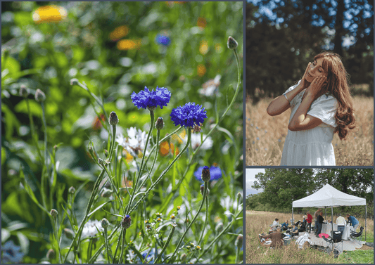 Meadow Open Day 2024