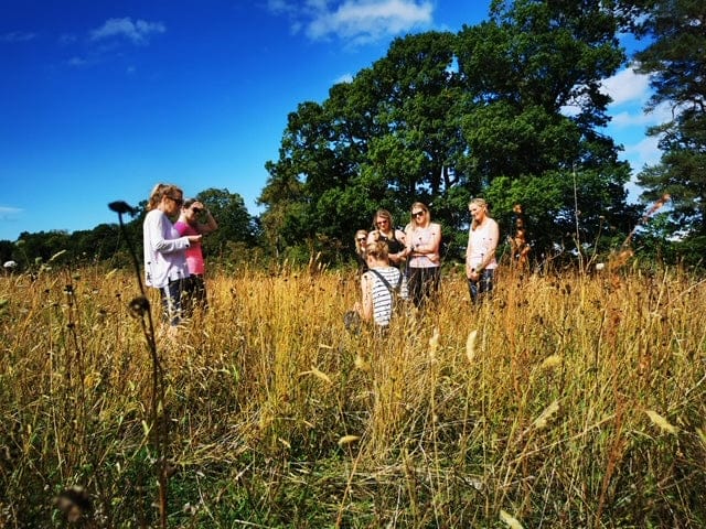 Make you Own Skincare Products from Meadow Grown Wildflowers